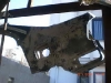 CIMG0549